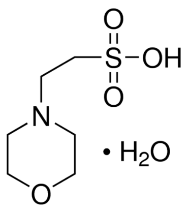 图片 2-吗啉乙磺酸一水合物 [MES一水合物]，MES monohydrate；Vetec™, reagent grade, 99%