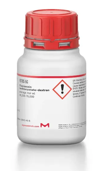 图片 异硫氰酸荧光素-葡聚糖，Fluorescein isothiocyanate–dextran [FITC–Dextran]；average mol wt 60,000-76,000
