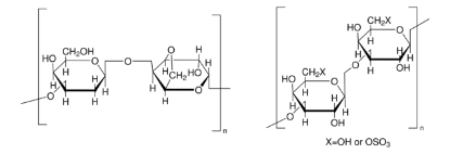 图片 琼脂粉，Agar；ash 2.0-4.5%, 	from algae (Rhodophyceae)