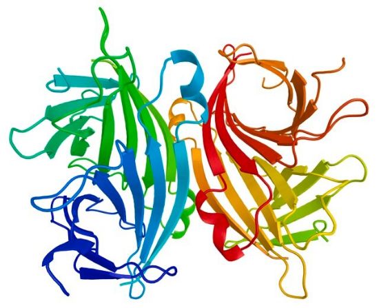 图片 抗生物素蛋白-琼脂糖，Avidin-Agarose from egg white；aqueous glycerol suspension