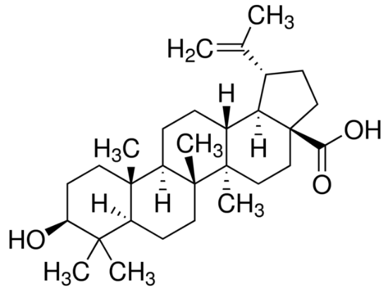 图片 白桦脂酸，Betulinic acid [BetA]；analytical standard, ≥97.0% (HPLC)