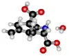 图片 红藻氨酸一水合物，Kainic acid monohydrate；≥99% (TLC)