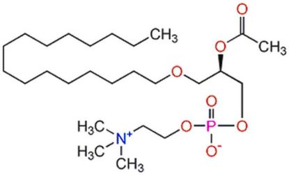 图片 β-乙酰基-γ-O-十六烷基-L-α-磷脂酰胆碱水合物，β-Acetyl-γ-O-hexadecyl-L-α-phosphatidylcholine hydrate [PAF(C16)]；Calbiochem®, ≥98% (TLC)