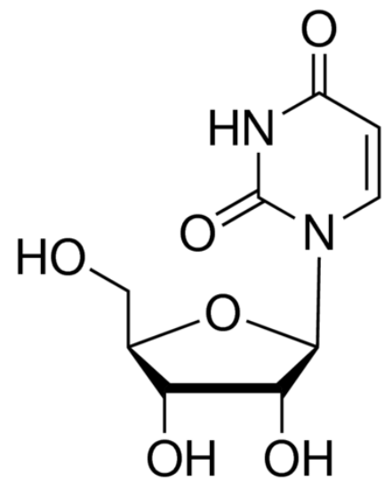图片 尿嘧啶核苷[尿苷, 尿核甙]，Uridine；Pharmaceutical Secondary Standard; Certified Reference Material