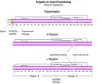 图片 TPCK处理的胰蛋白酶，Trypsin from bovine pancreas；TPCK Treated, essentially salt-free, lyophilized powder, ≥10,000 BAEE units/mg