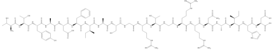 图片 蛋白激酶抑制剂，PKA Inhibitor 5-24；Calbiochem®, ≥95% (HPLC)