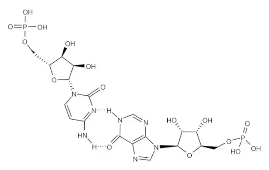 图片 聚肌苷酸-聚胞苷酸钾盐，Polyinosinic–polycytidylic acid potassium salt；γ-irradiated,	≥99% (TLC)