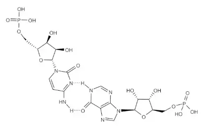 图片 聚肌苷酸-聚胞苷酸钠盐，Polyinosinic–polycytidylic acid sodium salt；γ-irradiated, ≥99%
