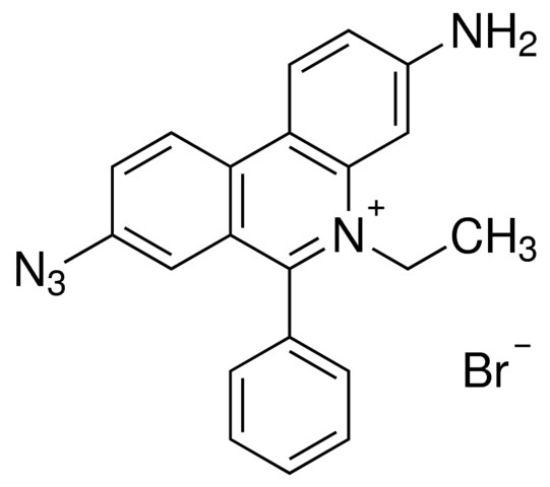 图片 溴化乙锭单叠氮化物，Ethidium bromide monoazide [EMA]；≥95% (HPLC), solid