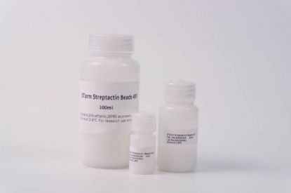 图片 STarm亲和纯化填料4FF [链球菌素琼脂糖凝胶]，STarm Streptactin Beads 4FF