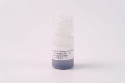 图片 谷胱甘肽琼脂糖磁性微球，Glutathione Magarose Beads
