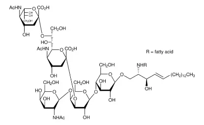 图片 双唾液酸神经节苷脂GD2来源于牛脑，Disialoganglioside-GD2 from bovine brain；~95%, lyophilized powder, semisynthetic