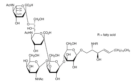 图片 双唾液酸神经节苷脂GD2来源于牛脑，Disialoganglioside-GD2 from bovine brain；~95%, lyophilized powder, semisynthetic