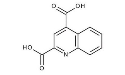 图片 喹啉-2,4-二羧酸，Quinoline-2,4-dicarboxylic acid；97%