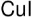 图片 碘化亚铜，Copper(I) iodide；anhydrous, 99.995% trace metals basis