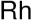 图片 碳负载铑，Rhodium on carbon；Evonik NOBLYST® P3053 5% Rh