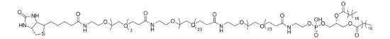 图片 Biotin-dPEG ®4 amido-dPEG ®24-amido-dPEG ®24-DSPE；>90%