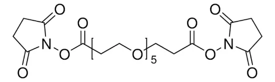 图片 双-五聚乙二醇-琥珀酰亚胺酯，Bis(NHS)PEG5；liquid
