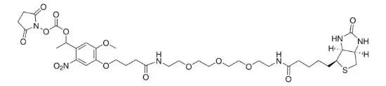 图片 PC生物素-PEG3-NHS酯，PC biotin-PEG3-NHS ester