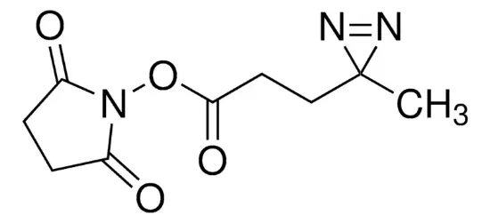 图片 (NHS-二氮嗪) (琥珀酰亚胺 4,4′-叠氮戊酰胺酯)，(NHS-Diazirine) (succinimidyl 4,4′-azipentanoate) [SDA]；≥90%