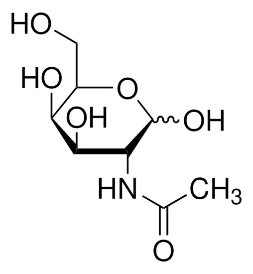 图片 N-乙酰-d-半乳糖胺，N-Acetyl-D-galactosamine [D-GalNAc]；~98%