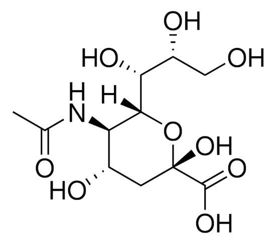 图片 N-乙酰神经氨酸，N-Acetylneuraminic acid [NAN, NANA, Neu5Ac]；from Escherichia coli, ≥98%