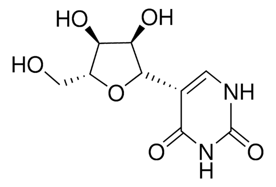 图片 假尿苷，Pseudouridine；≥98%