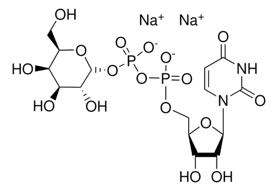 图片 尿苷5′-二磷酸半乳糖二钠盐 [UDP-半乳糖二钠盐]，Uridine 5′-diphosphogalactose disodium salt；≥97.0%
