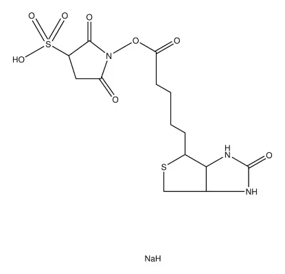 图片 生物素3-磺基-N-羟基琥珀酰亚胺酯钠盐 [磺基-NHS-生物素]，Biotin 3-sulfo-N-hydroxysuccinimide ester sodium salt [Sulfo-NHS-Biotin]；≥90% (TLC), powder