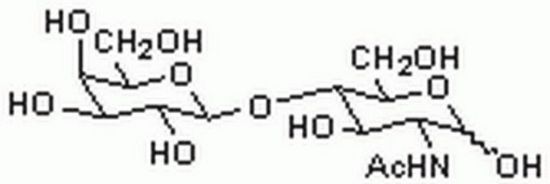 图片 N-乙酰-D-乳糖胺，N-Acetyl-D-lactosamine [Galβ1, 4GlcNAc, LacNAc]； Calbiochem®