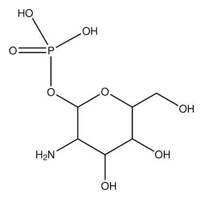 图片 α-D-葡萄糖胺 1-磷酸，α-D-Glucosamine 1-phosphate；≥97% (TLC)