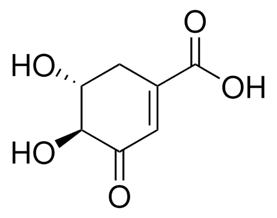 图片 3-脱氢莽草酸，3-Dehydroshikimic acid [3-DHS]；≥95.0% (HPLC)
