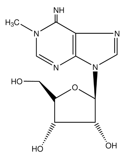 图片 1-甲基腺苷，1-Methyladenosine [M1A]；≥95% (HPLC)