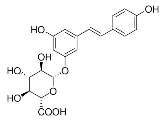 图片 反式白藜芦醇3-O-β-D-葡糖苷酸，trans-Resveratrol 3-O-β-D-glucuronide；≥95% (HPLC)