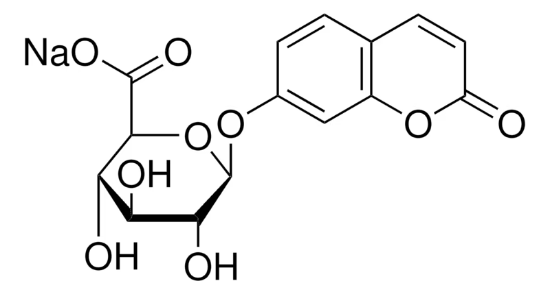 图片 7-羟基香豆素葡糖苷酸钠盐，7-Hydroxycoumarin β-D-glucuronide sodium salt；≥95% (HPLC)