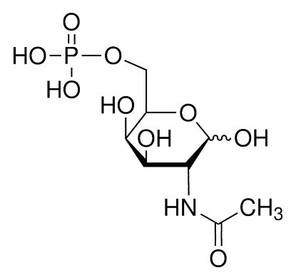 图片 N-乙酰-D-半乳糖胺-6-磷酸，N-Acetyl-D-galactosamine-6-phosphate；≥97.0% (HPLC)
