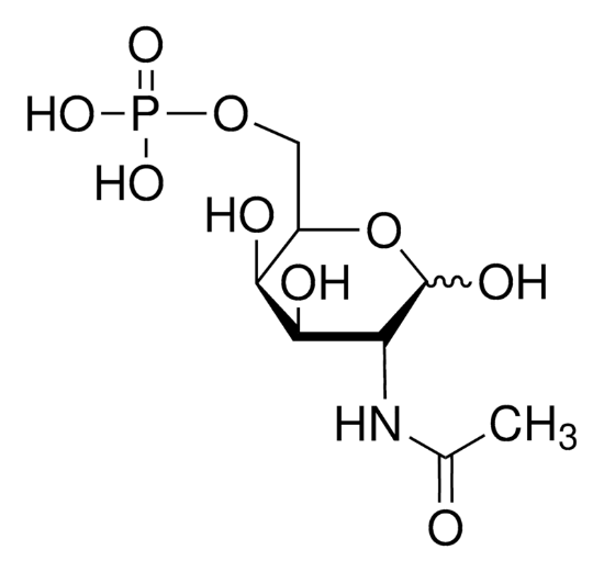 图片 N-乙酰-D-半乳糖胺-6-磷酸，N-Acetyl-D-galactosamine-6-phosphate；≥97.0% (HPLC)