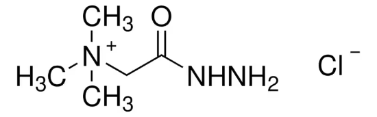 图片 吉拉尔特试剂T，Girard′s reagent T；98%