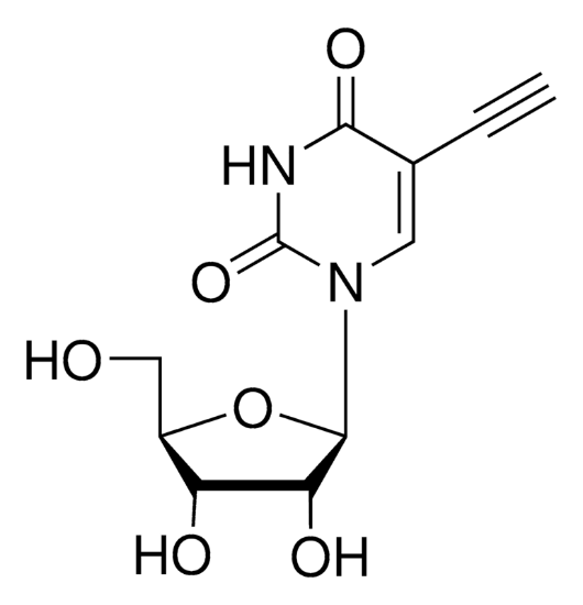 图片 5-乙炔基尿苷，5-Ethynyl uridine [5-EU, EU]；≥95%