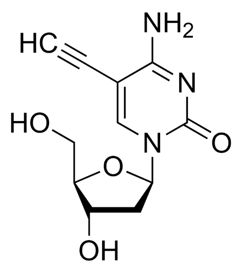 图片 5-乙炔基-2'-脱氧胞苷，5-Ethynyl-2′-deoxycytidine (EdC)；≥98.0%