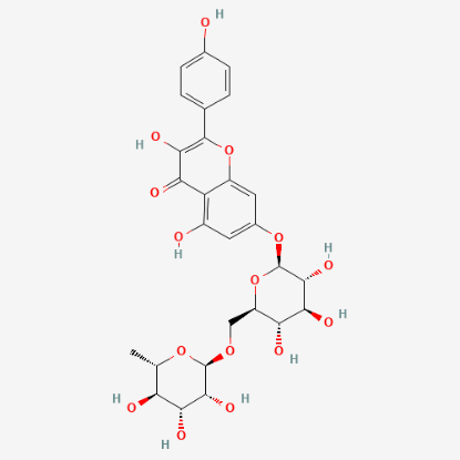 图片 山奈酚7-O-芸香糖苷，Kaempferol 7-O-rutinoside；≥98%
