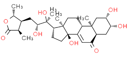 图片 25-Epi-28-epi-杯苋甾酮，25,28-Di-epi-cyasterone；≥98%