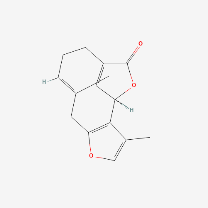 图片 乌药内酯，Linderalactone；≥98%