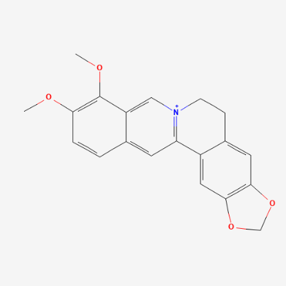图片 小檗碱，Berberine；≥98%(HPLC)