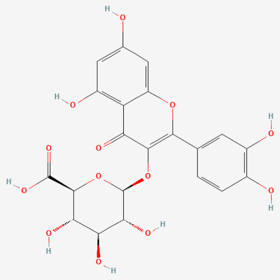 图片 槲皮素-3-葡萄糖醛酸苷，quercetin 3-O-glucuronide；≥98%