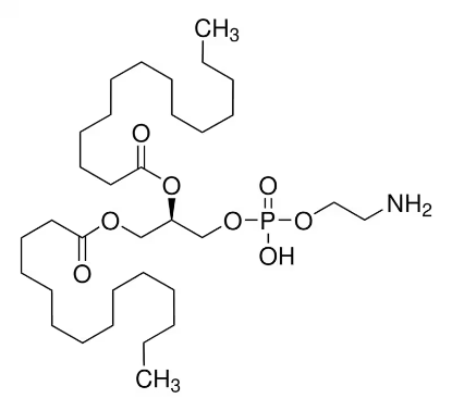 图片 1,2-二肉豆蔻酰-sn-甘油基-3-磷酸乙醇胺，1,2-Dimyristoyl-sn-glycero-3-phosphoethanolamine [DMPE]；synthetic, ≥99%