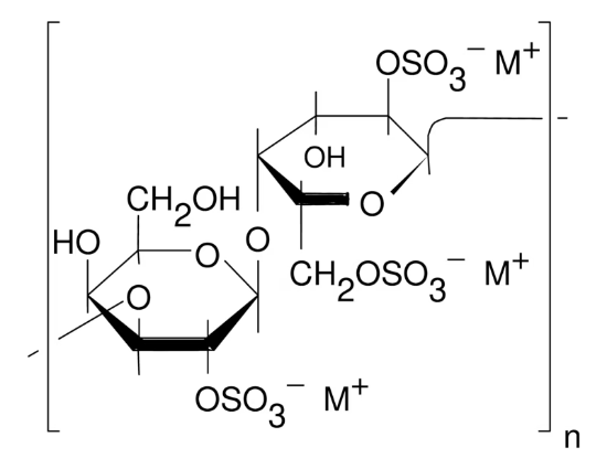 图片 λ-角叉菜胶 [λ-卡拉胶, λ-角叉胶]，λ-Carrageenan；plant mucopolysaccharide