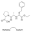 图片 依那普利马来酸盐，Enalapril maleate salt；powder, ≥98% (TLC)