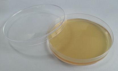 图片 营养琼脂 [NA]，Nutrient Agar