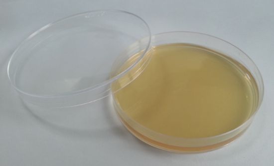 图片 营养琼脂 [NA]，Nutrient Agar